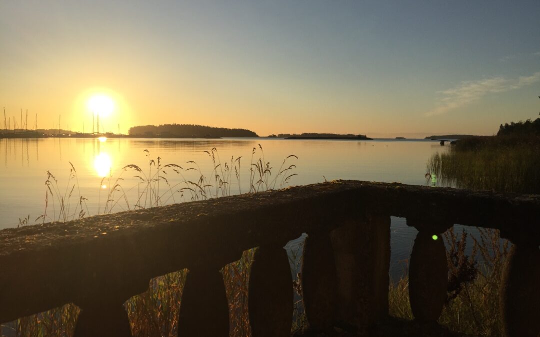 Usein kysyttyjä kysymyksiä